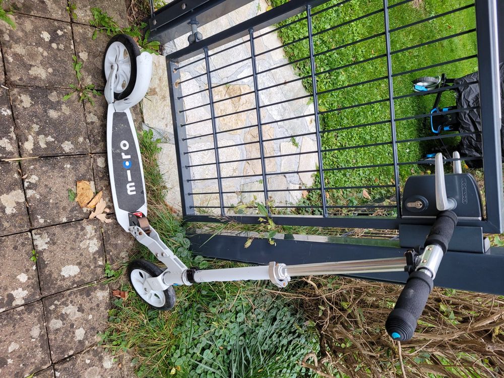 Kickboard micro Kaufen auf Ricardo