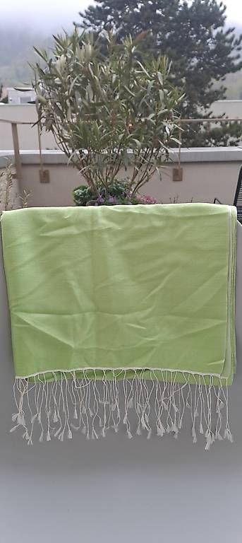 Foulard & Sciarpe: Seidenschal grün – Usato da Adliswil venduto da missmoonymoon 2