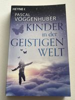Pascal Voggenhuber: Kinder in der geistigen Welt, Top!