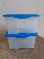 Mini-Aufbewahrungs-Boxen von Rotho, 2-er Set