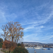 Profile image of Blau8