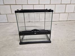 Terrarium zu Verkaufen