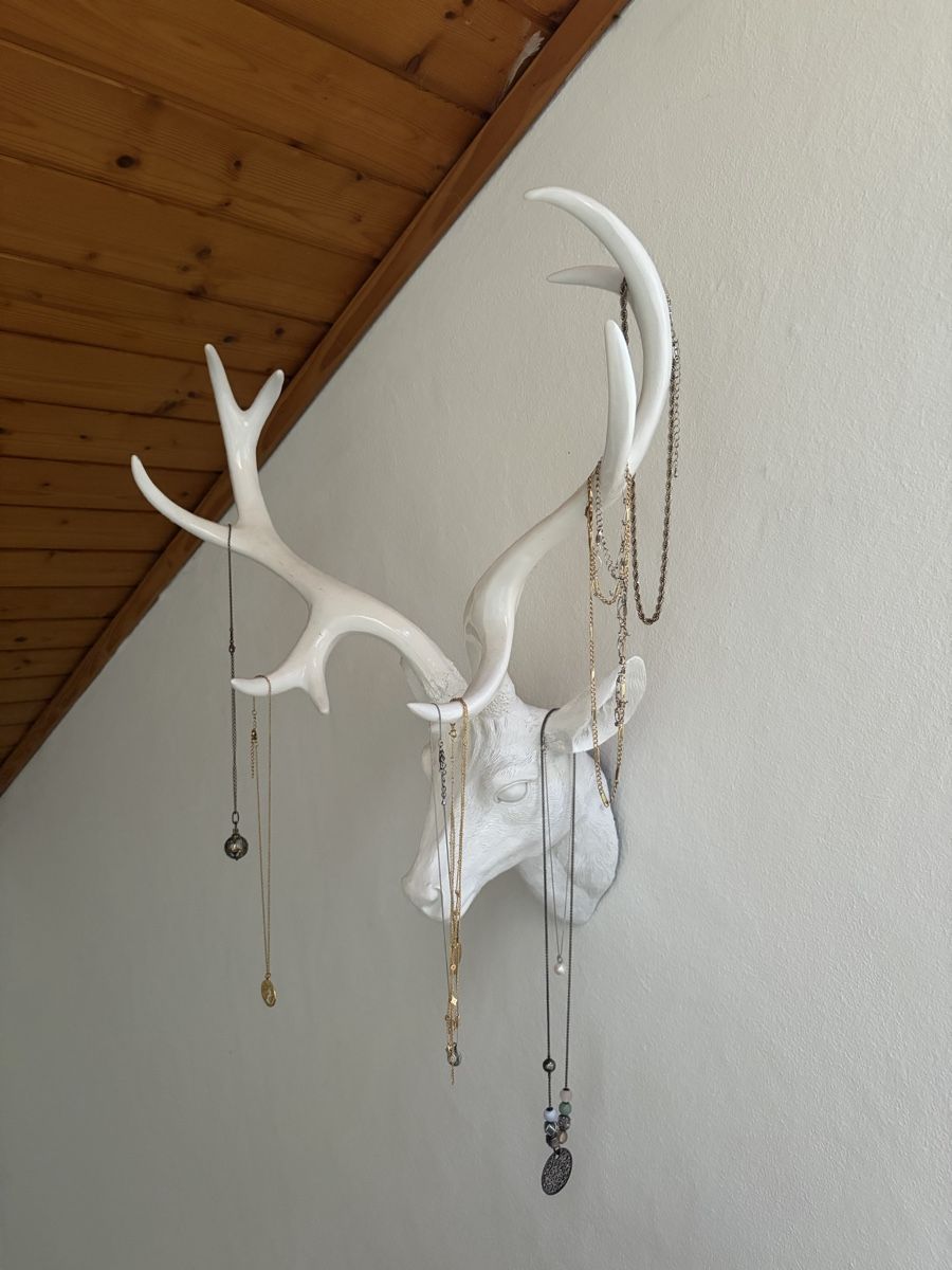Tutte le decorazioni: Deko Hirschgeweih  – Usato da Freidorf TG venduto da ibipatria