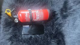 Feuerlöscher klein 1kg