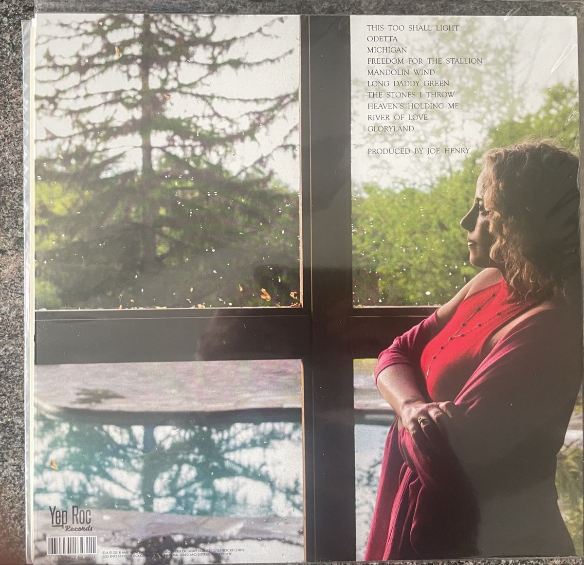 Dischi in vinile: Amy Helm / This too Small light - Vinyl LP  – Usato da Olten venduto da Bluespapst 1