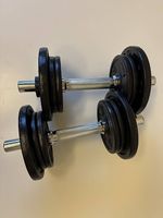 Kurzhantel Domyos 2x 10kg