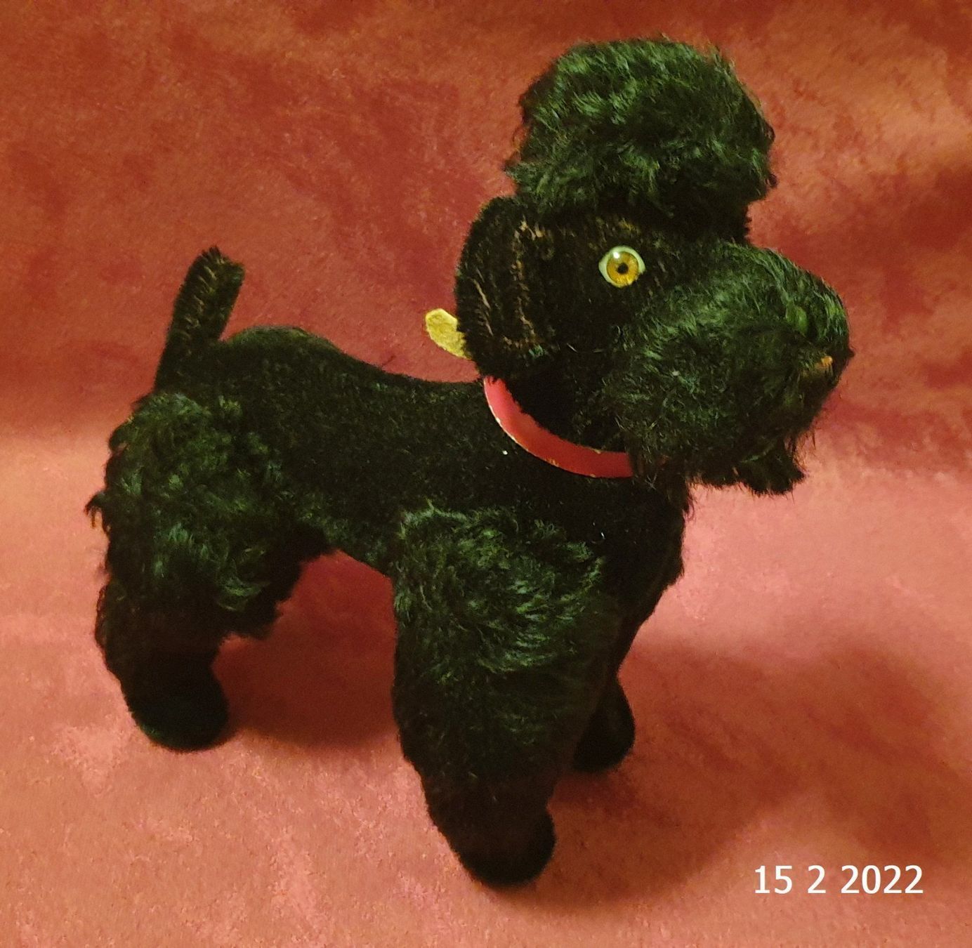 Steiff Giocattoli: Steiff Pudel Snobby ca.1960er – Usato da Basel venduto da The_Onliners