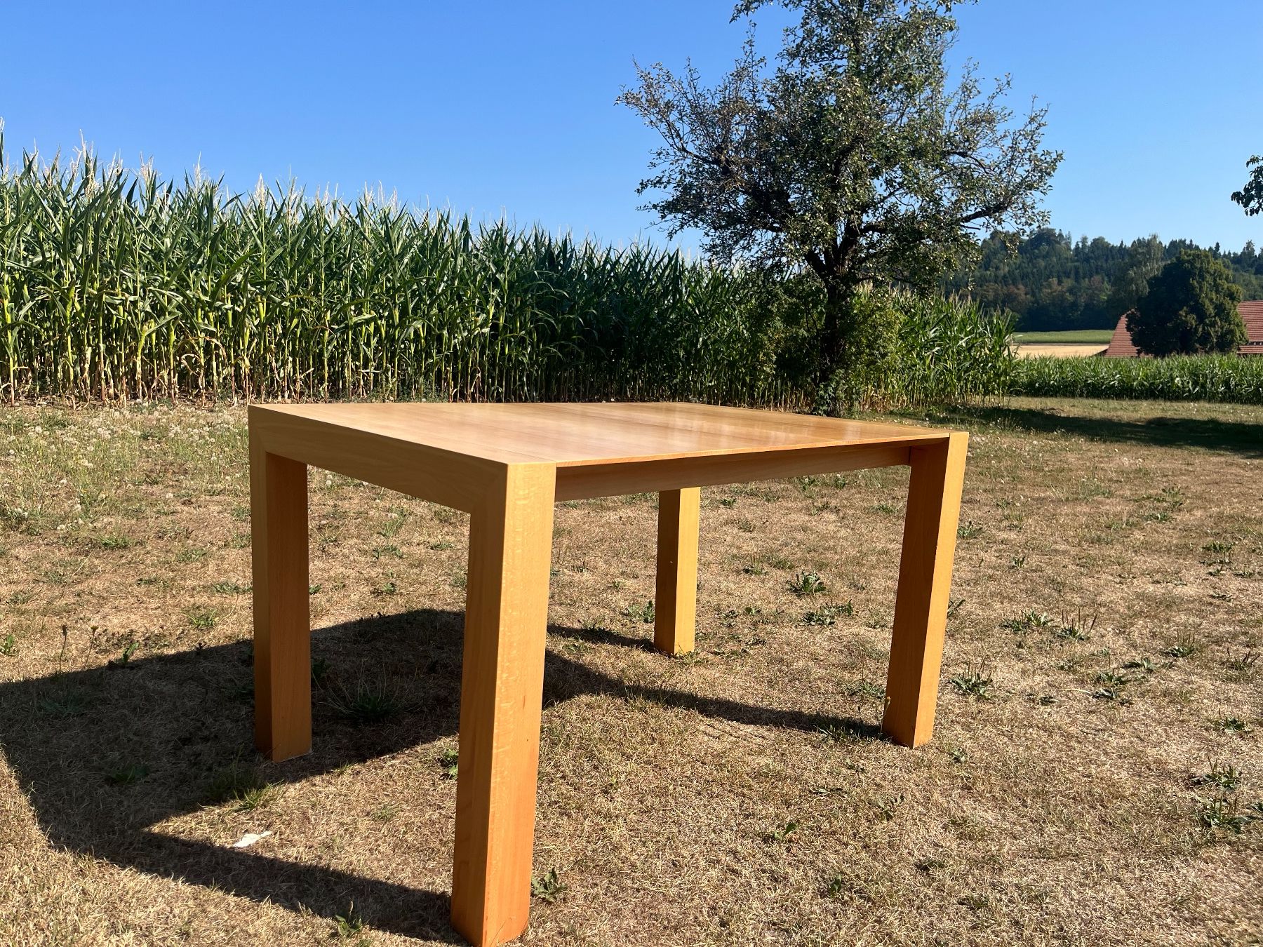 Tavoli: Tisch mit Auszug – Usato da Allmendingen b. BE venduto da juair 1