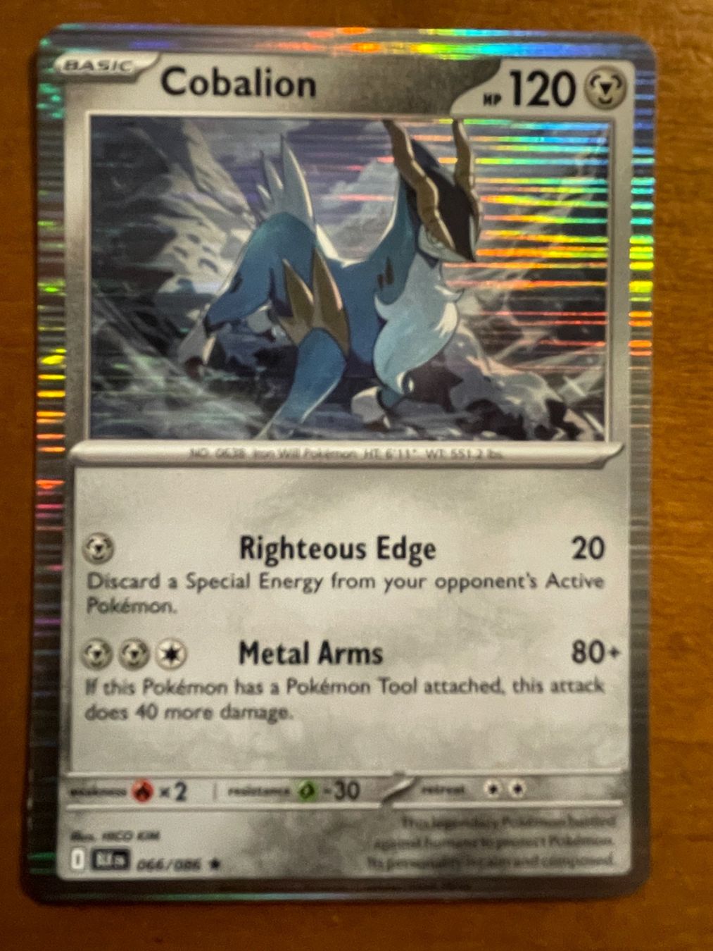 Pokémon Carte collezionabili: Pokemon Cobalion Holo (Versand gratis) – Nuovo (secondo la descrizione) da Chur venduto da Angerson