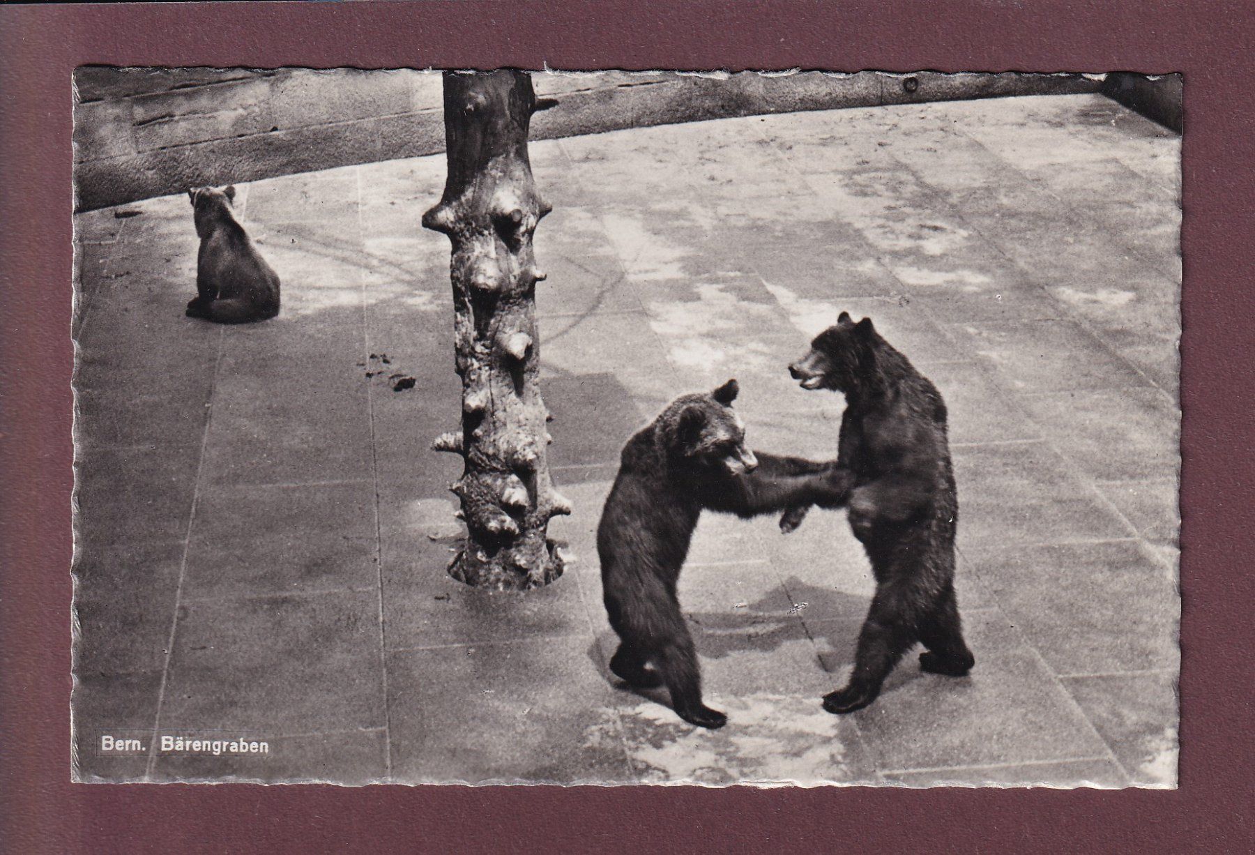 Cartoline postali: BERN - Bärengraben - 1938 – Usato da Pully venduto da nicecards