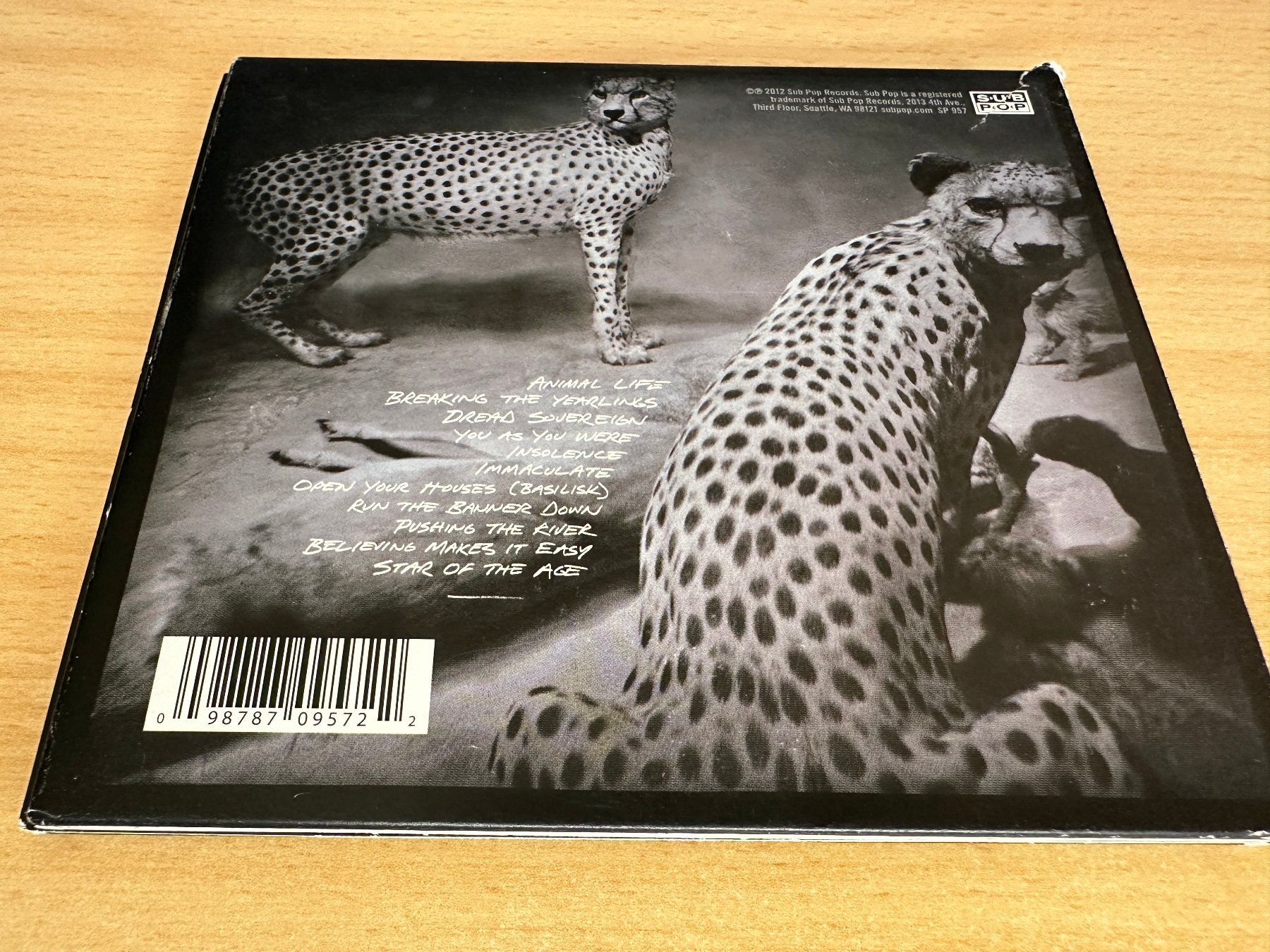 CD: Shearwater – Animal Joy – Usato da Rikon im Tösstal venduto da Alpenmutz 1