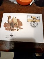 WWF Mongolie - Premier Jour - Panda et chameau rare!