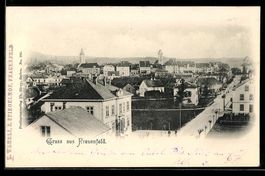 Frauenfeld, Stadtansicht mit Kirchtürme