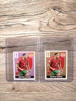 Panini Extra Sticker Achraf Hakimi Bronze&Lila Set🔥