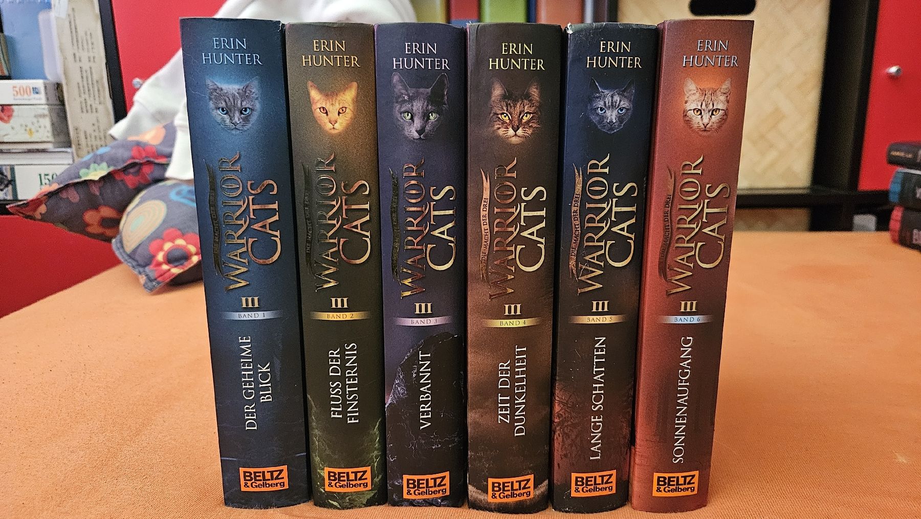 Libri: Warrior Cats Staffel 3 – Usato da Grenchen venduto da ailina_aeschlimann