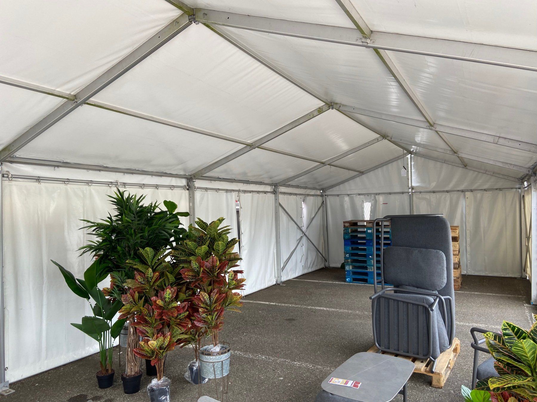 Tende & Padiglioni: Profizelt 5 x 12 m – Usato da grosswangen venduto da Poliniman0 4