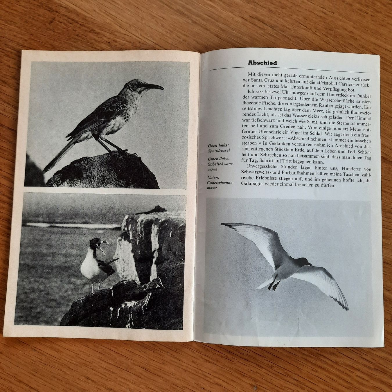 Riviste & Magazine: SJW Heft Nr.1219 Galapagos – Usato da Nottwil venduto da mar_jqm7 8