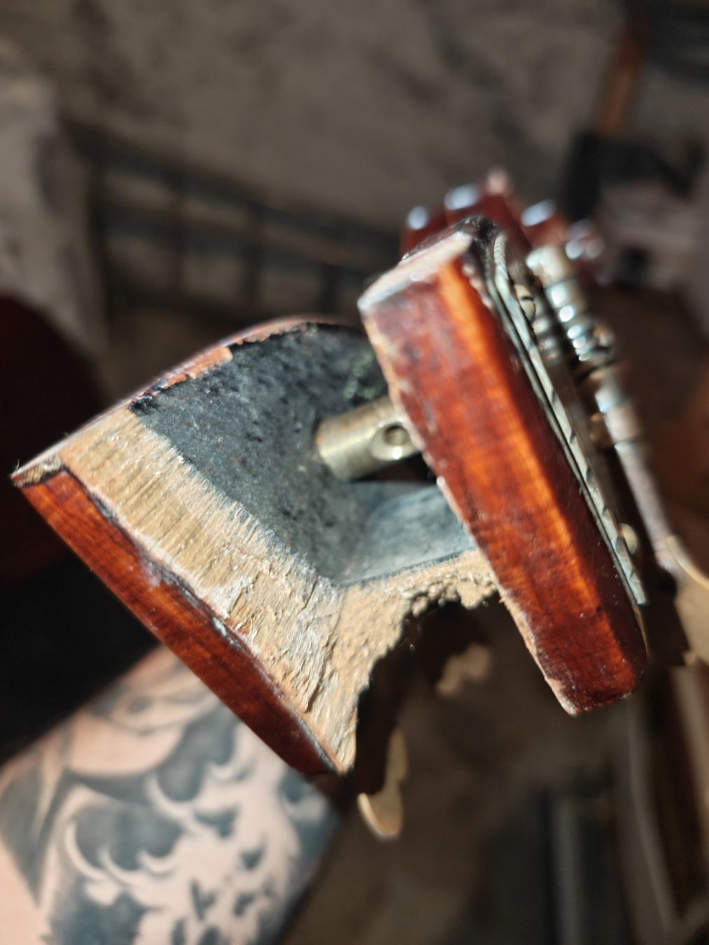 Instruments de musique: Kontrabass  Defekt – Défectueux à Boniswil par Alessio42 9