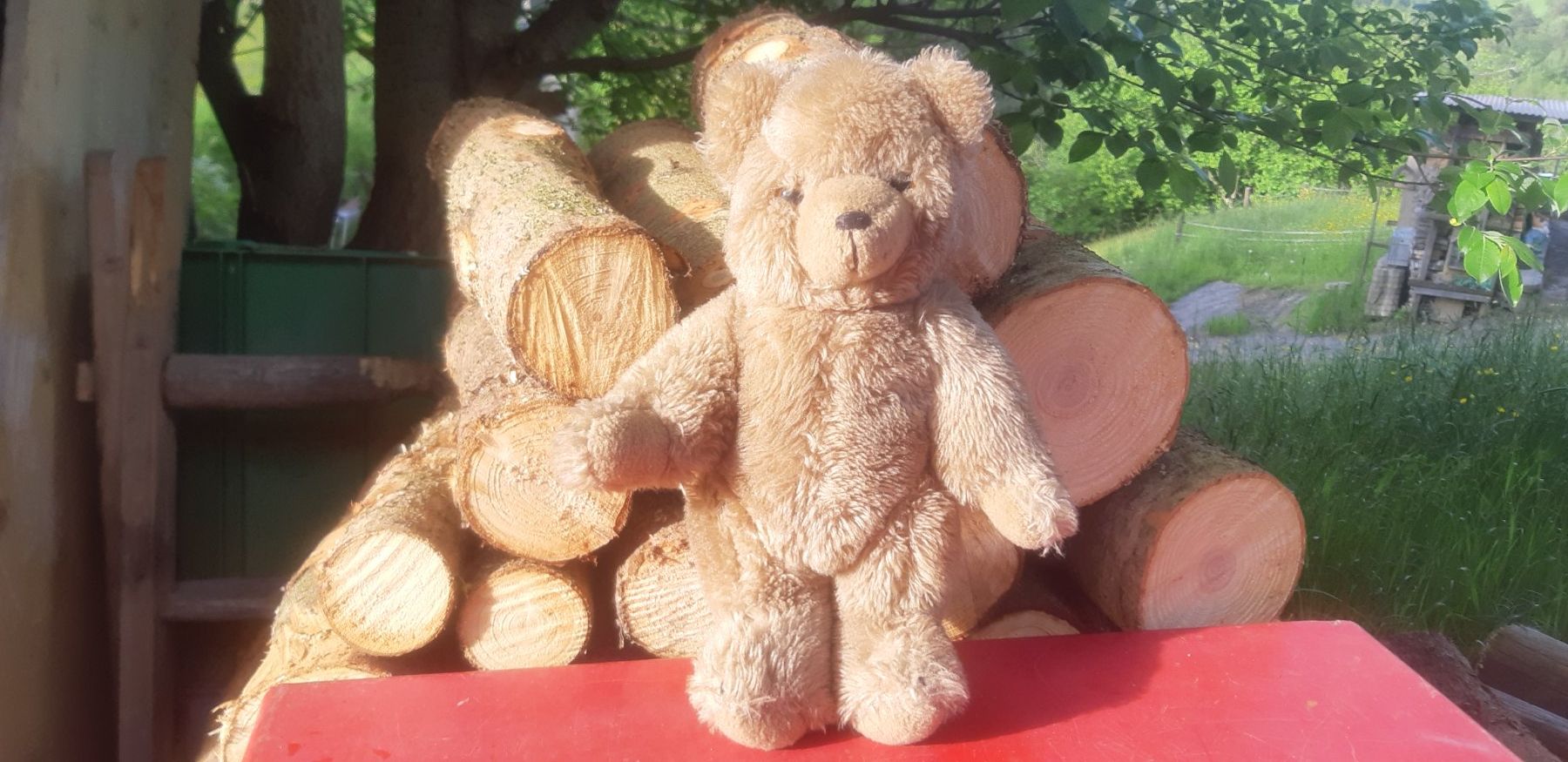 Giocattoli: Alter Teddybär – Usato da Wolfhalden venduto da Quiria68 3