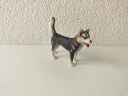 Schleich Hunde Husky Rarität