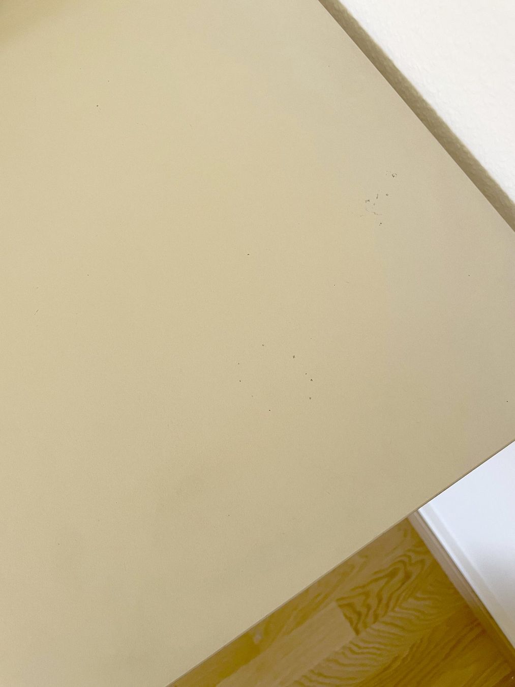 Bureaux: Tischplatte mit E2-Gestell von Faust Linoleum – D'occasion à Zürich par tif_7526 3