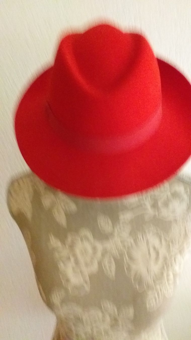 Chapeaux, bonnets & casquettes: Damen Hut – D'occasion à Wünnewil par 04Blume