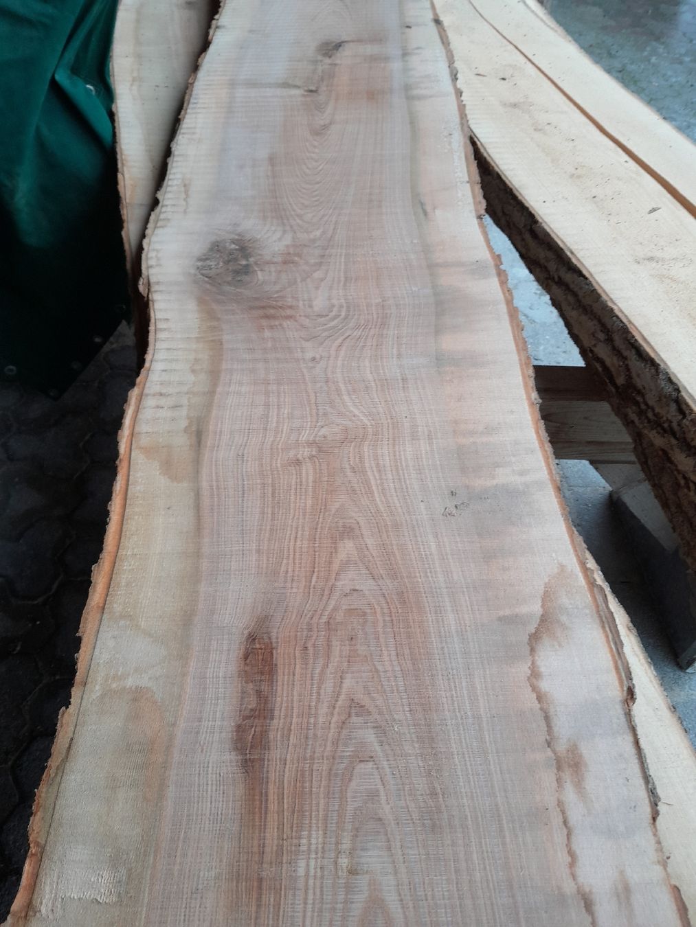 Articles en bois: Eschen Bretter – Neuf (Voir description) à Grosswangen par paluki 3