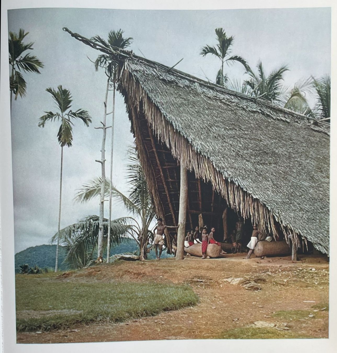 Libri: René Gardi: Bilder aus Neuguinea – Usato da Dielsdorf venduto da bonambler 5