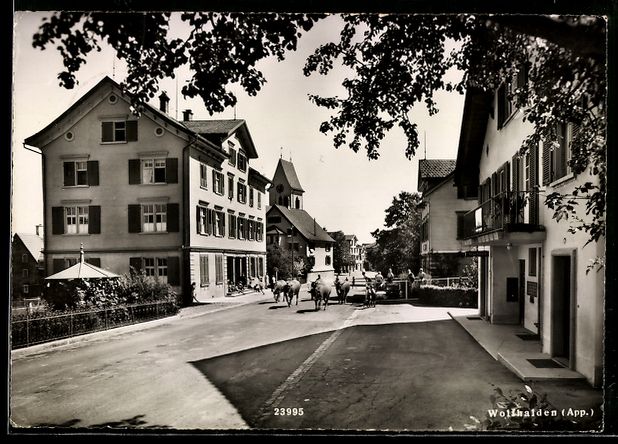Cartes postales: Wolfhalden /App., Strassenpartie mit K – D'occasion à Berlin par bartko-reher