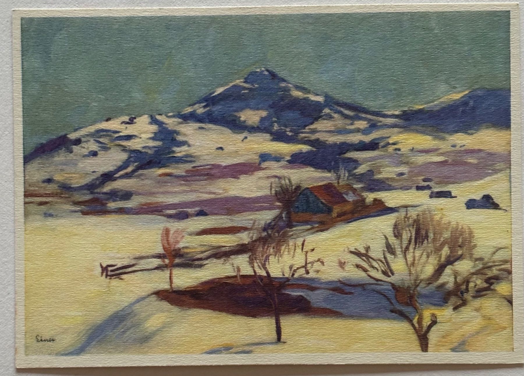 Cartoline postali: Carl Liner Appenzell, Pro Juventute – Usato da Frauenfeld venduto da Merk52