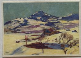 Carl Liner Appenzell, Pro Juventute