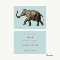 Personalisierte Einladungskarte Kindergeburtstag Elefant