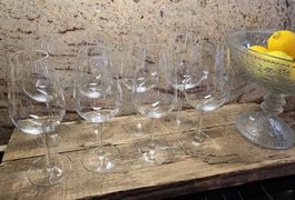 8 Stk.Weissweingläser Schott Zwiesel neu
