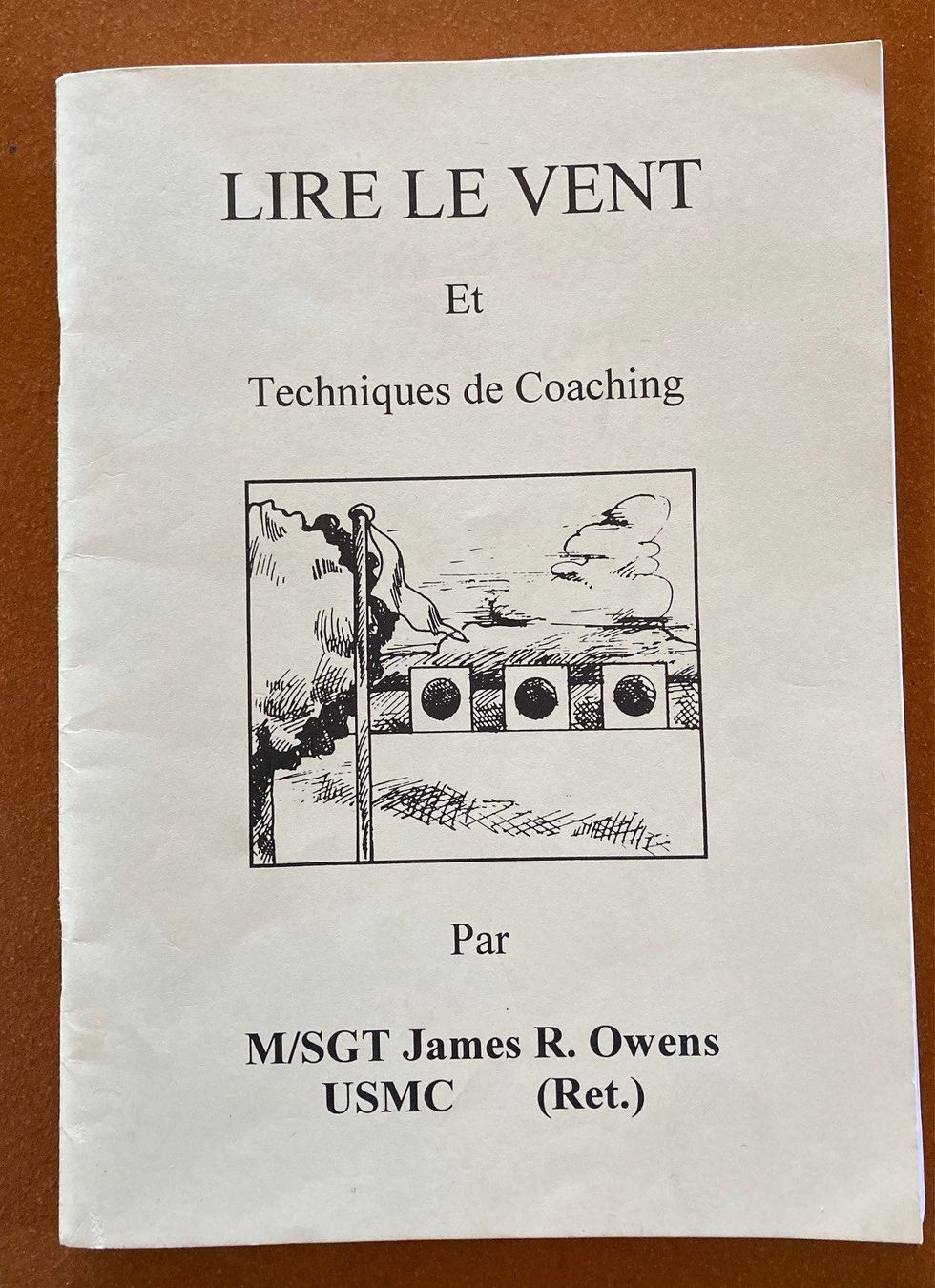 Libri: Lire le Vent et Techniques de Coaching – Usato da Orselina venduto da Vrenegonde
