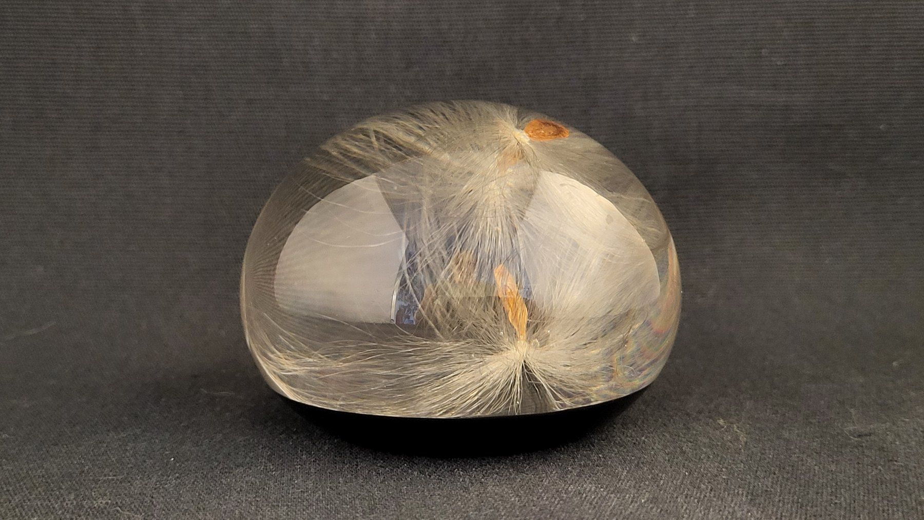 Statuette: Paperweight mit Pusteblumen – Usato da Basel venduto da spinne02 1