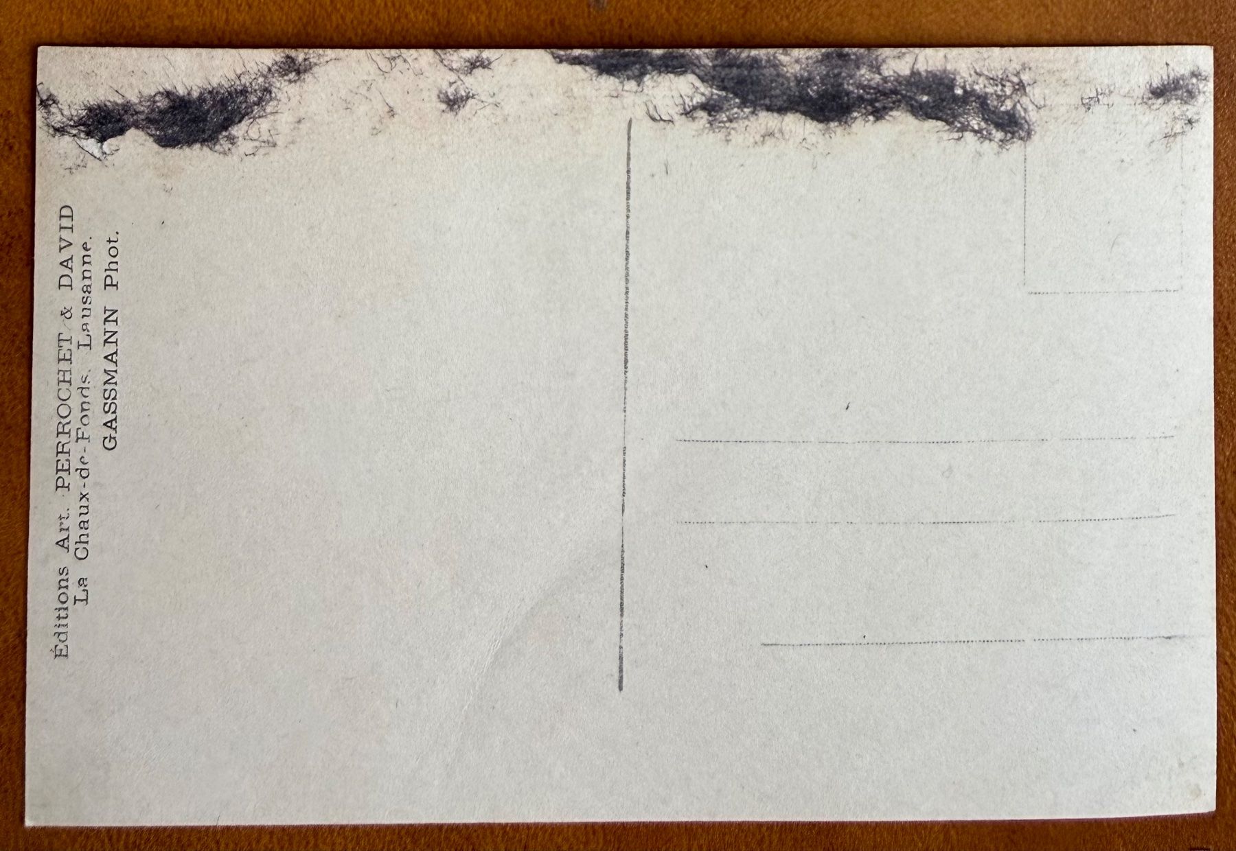 Cartoline postali: Chur - Totalansicht - AK – Usato da Lutry venduto da Ediego 1