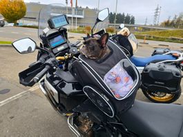 Bagster Motorrad Tiertransporttasche für Hunde