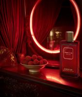 NICHE — EXDP Shanghaï le Soir Cherigan (decant)