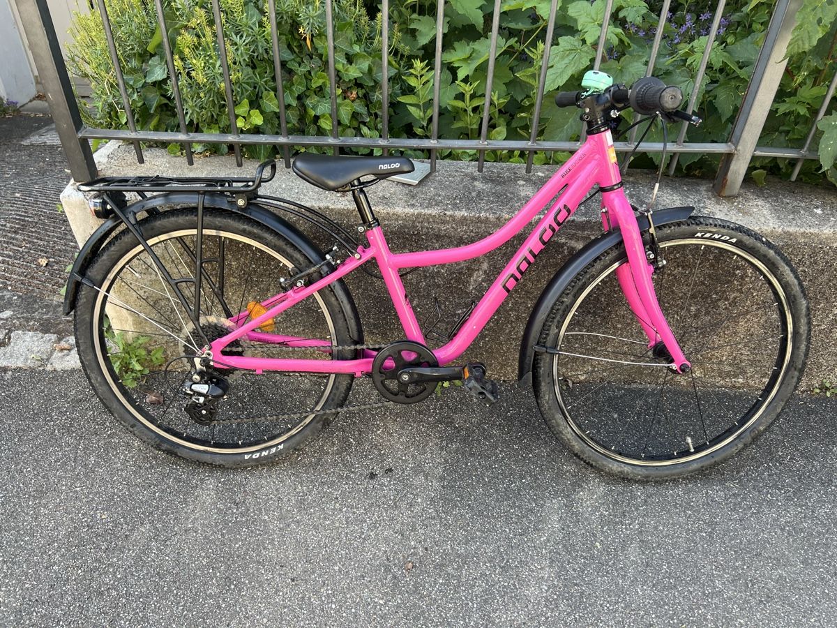 Naloo Biciclette: Naloo 24 Chameleon in pink – Usato da Basel venduto da Chris_4056 3