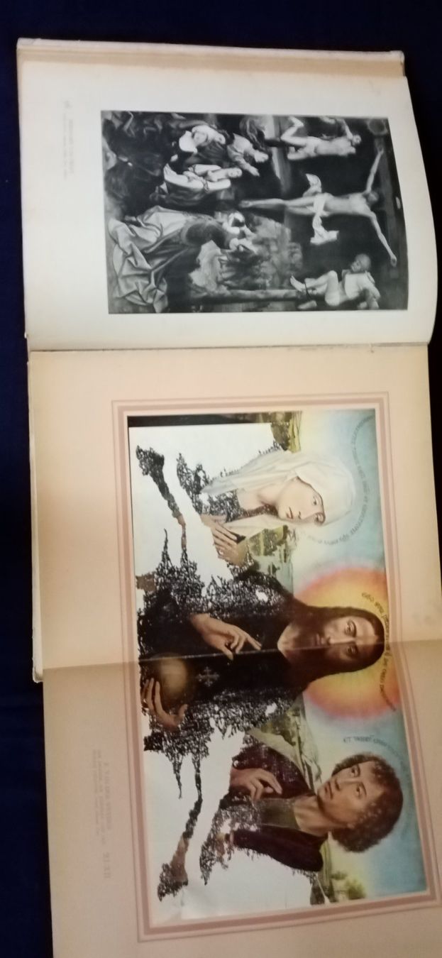 Libri: Bildband – Usato da Büsingen venduto da Flohminator 6