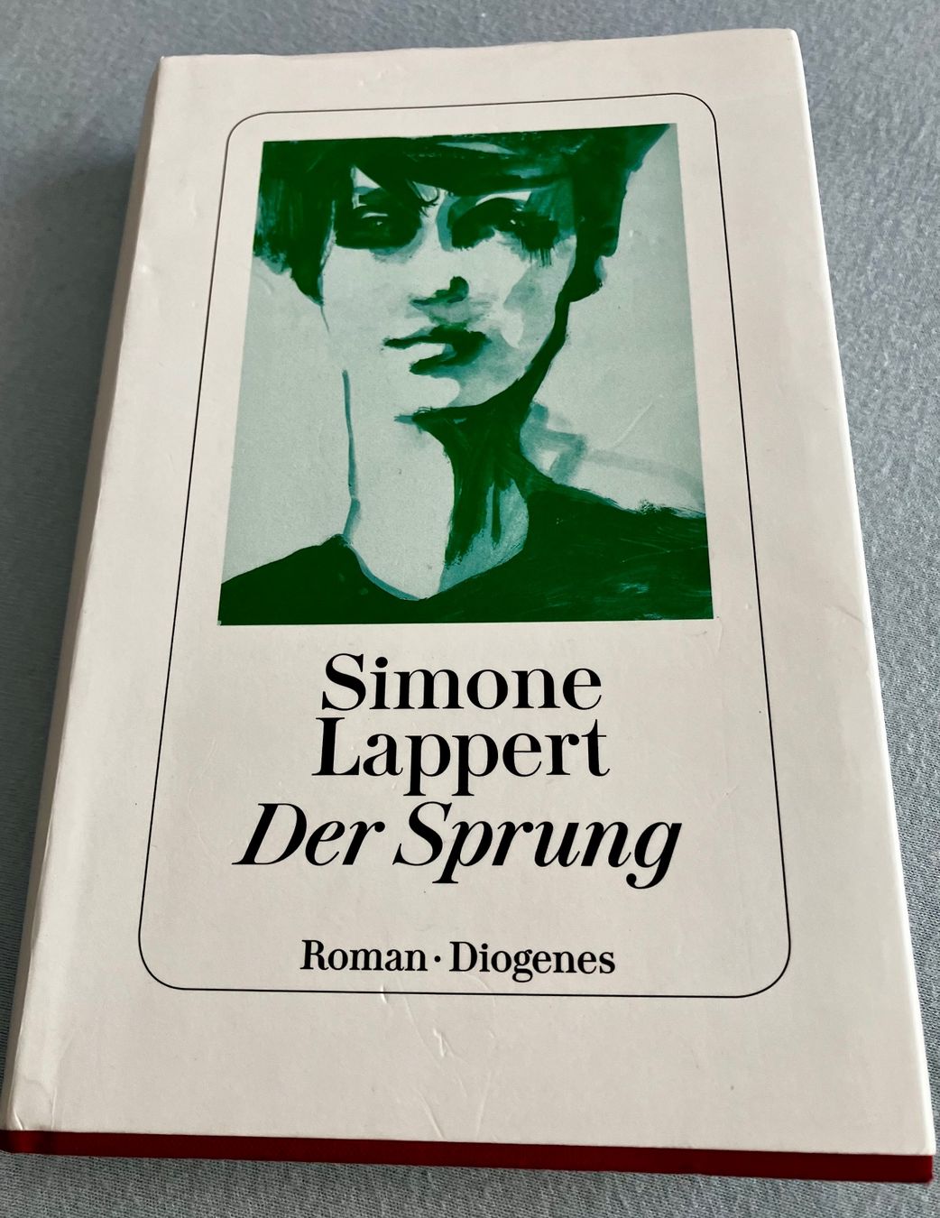 Livres: simone Lappert: Der Sprung – D'occasion à Buchs AG par Allerleis
