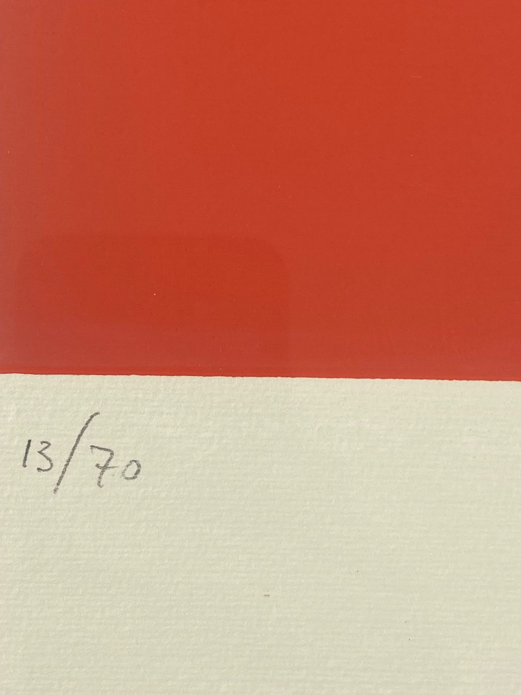 Grafica & Litografie: Lithografie mit Blütenmotiv – Usato da Basel venduto da bigmbh 3