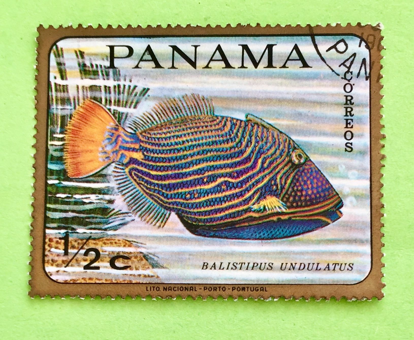 Tutti i francobolli: Briefmarken aus Panama Tropical Fish  gestempelt   – Usato da Aarau venduto da Angi-007