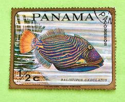 Briefmarken aus Panama Tropical Fish  gestempelt  