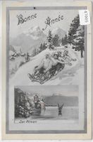 Bonne Annee - Lac Leman - Schlitten-Spass