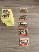 Panini WM26 über 420Sticker