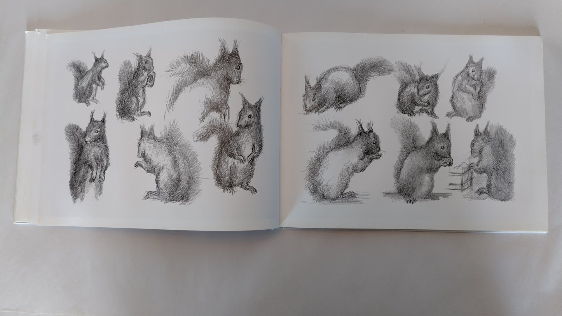 Bücher: Peter Bergmann - Eichhörnchen auf Besuch / Bilderbuch – Gebraucht aus Bellach von JingleJerry 6