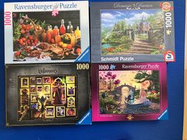 4 Puzzle-Sammlung 1000 Teile