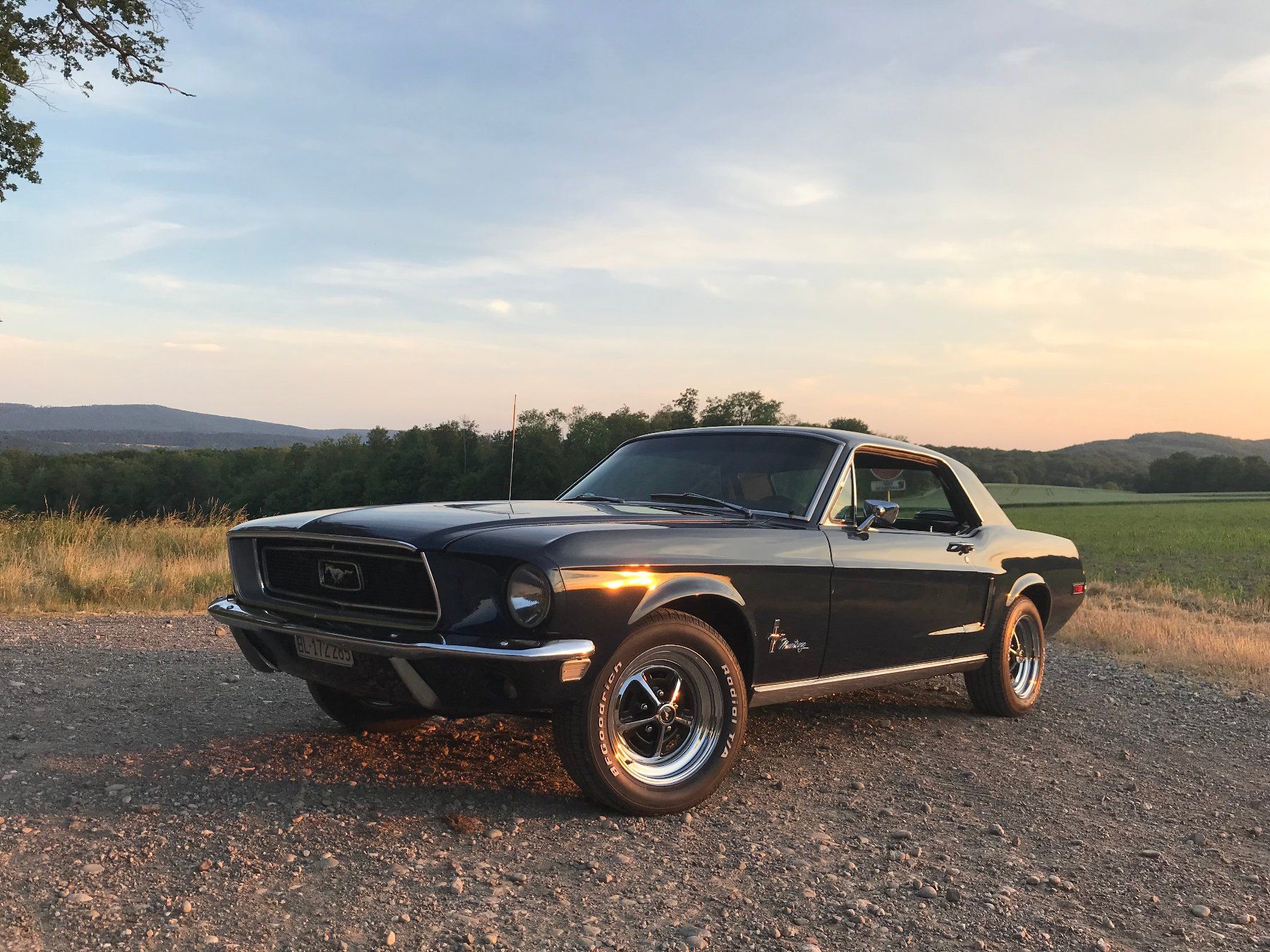Ford (Usa) Automobili: Ford Mustang 1968, Veteran – Usato da Allschwil venduto da lukisina01