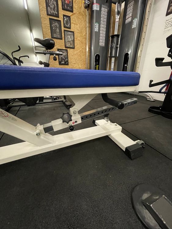 Hantelbank Nautilus / Hammer Strength / Cybex Kaufen auf Ricardo